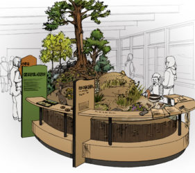 Sketch showing diorama island in center of exhibits