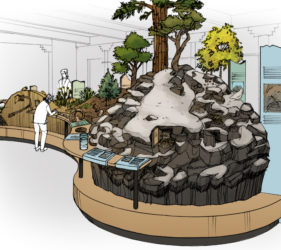 Sketch showing diorama island in center of exhibits with snow on ground