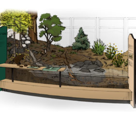 Sketch showing diorama island in center of exhibits