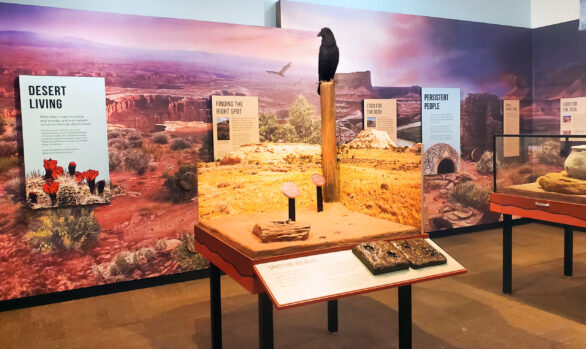 Canyonlands Islands in the Sky