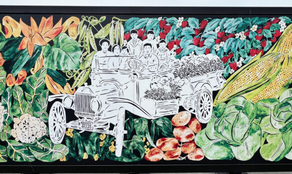 Bellevue Japanese American Legacy Project